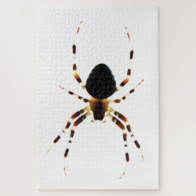 Puzzle Araignée 20x30 1014pc jpm (Vertical)
