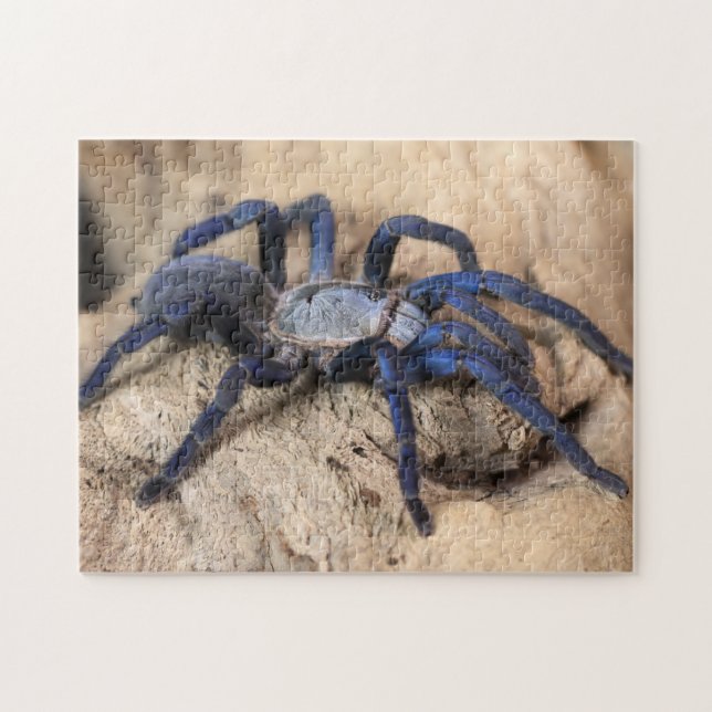 Puzzle Araignée de Tarantula Bleue de Cobalt (Horizontal)