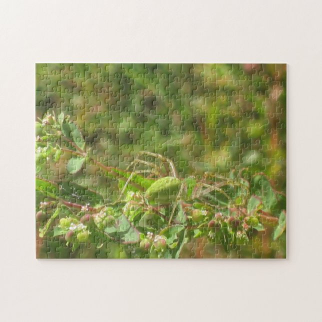 Puzzle Araignée verte Lynx (Horizontal)