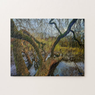 Puzzle "Árboles del agua - Parque en Ámsterdam"
