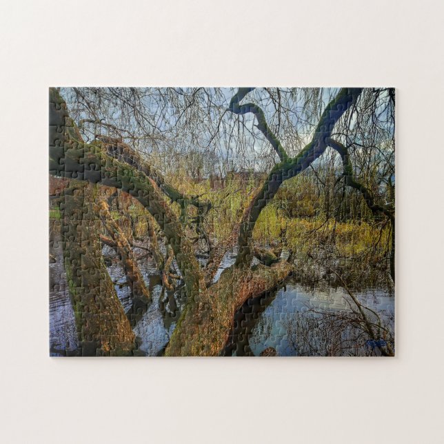 Puzzle "Árboles del agua - Parque en Ámsterdam" (Horizontal)