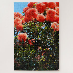 Puzzle Arbre à fleurs d'Eucalyptus orange,