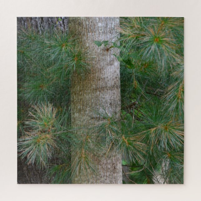 Puzzle Arbre à pins unique (Vertical)
