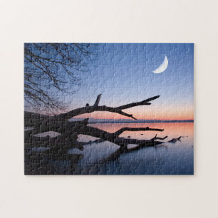 Puzzle Arbre au lac de Starnberg   Muensing Bavière Allem