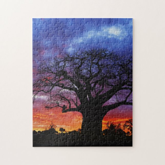 Puzzle arbre baobab africain, Adansonia digitata 2 (Vertical)