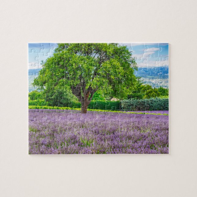 Puzzle Arbre dans un champ de lavande, France (Horizontal)