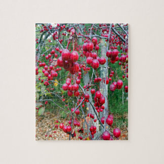 Puzzle Arbre d'automne de planificateur baies rouges Phot
