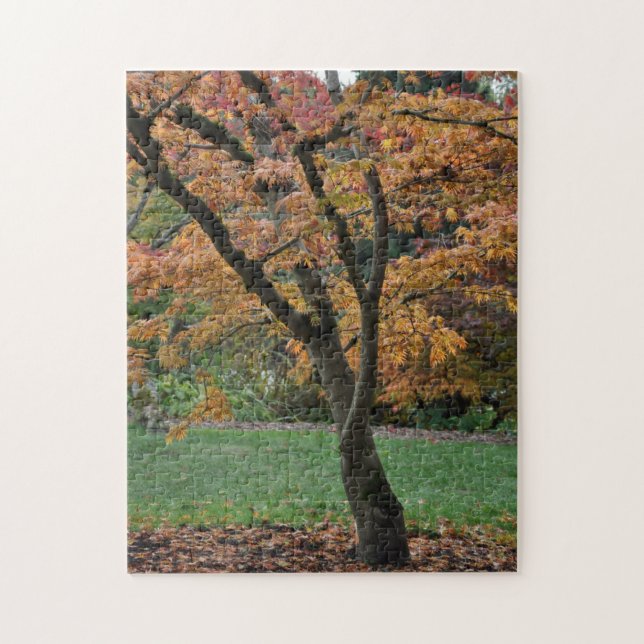 Puzzle Arbre d'automne doré (Vertical)