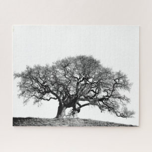 PUZZLE ARBRE DE CHÊNE GLOBAL