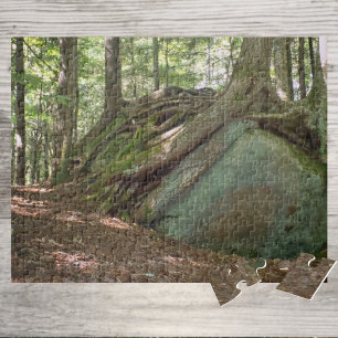 Puzzle Arbre de la résilience de la nature sur Boulder Ph