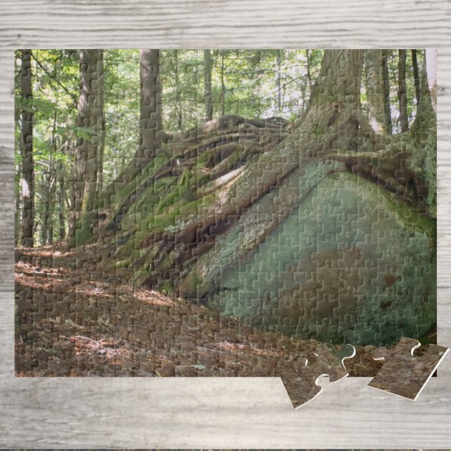 Puzzle Arbre de la résilience de la nature sur Boulder Ph (Créateur téléchargé)
