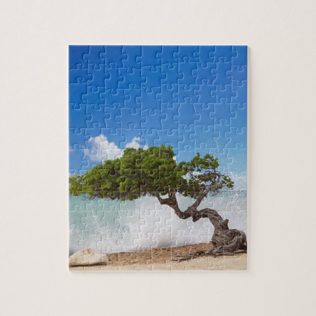 Puzzle Arbre Divi Divi, Eagle Beach, Aruba, Caraïbes (Vertical)