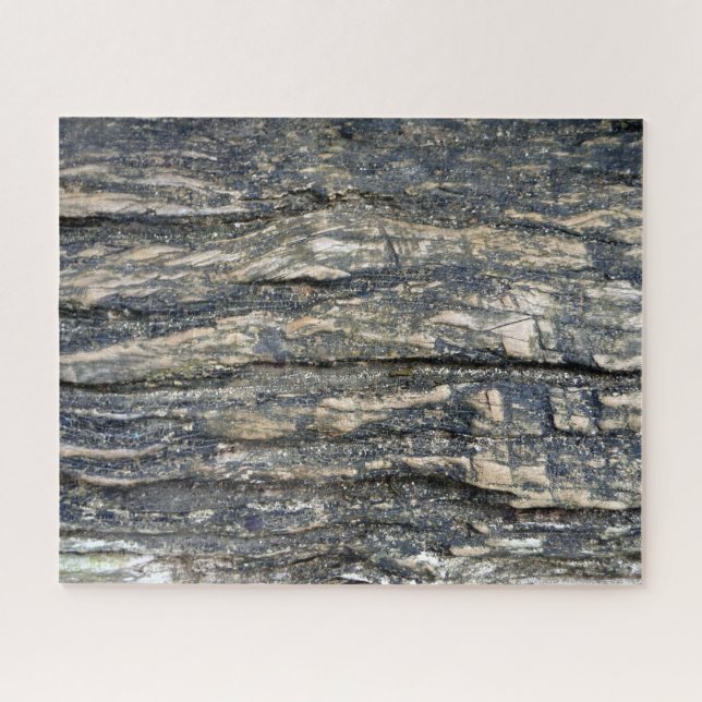 Puzzle arbre écorché (Horizontal)