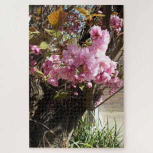 Puzzle Arbre en fleurs rose cerise sauvage