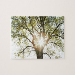 Puzzle Arbre ensoleillé
