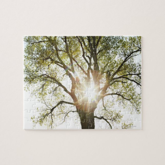 Puzzle Arbre ensoleillé (Horizontal)