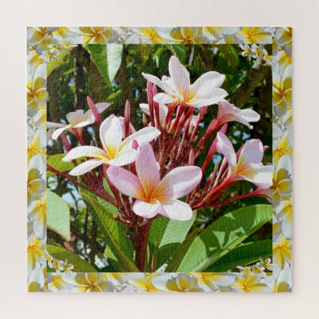 Puzzle Arbre Frangipani Rose Au Bord Frangipani Jaune. (Vertical)
