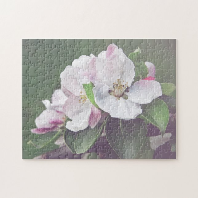 Puzzle Arbre fruitier en fleurs blanc rose (Horizontal)