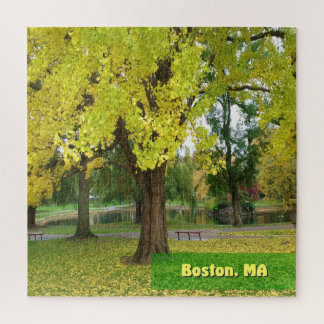 Puzzle Arbre Gingko Jaune - Jardin public de Boston