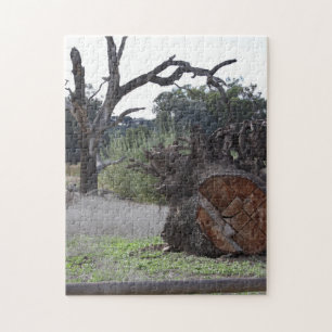 Puzzle Arbre mort