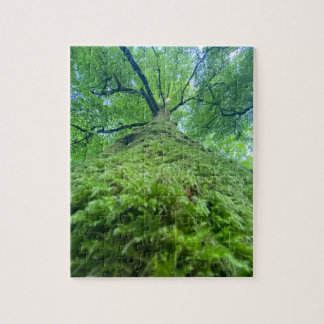 Puzzle arbre mousse 