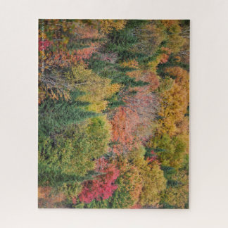 Puzzle Arbre Multicolore