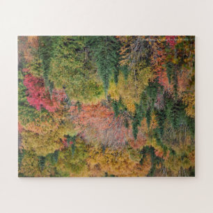 Puzzle Arbre Multicolore