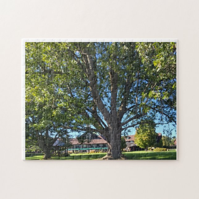 Puzzle Arbre parapluie (Horizontal)