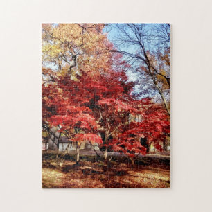 Puzzle Arbre rouge clair