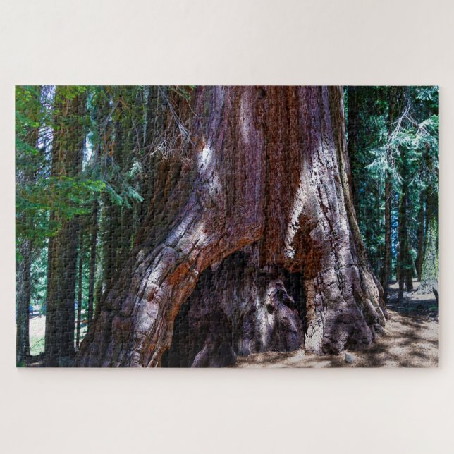 Puzzle Arbre Séquoia Parc national de Séquoia Californie. (Horizontal)