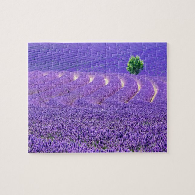 Puzzle Arbre solitaire dans le champ de lavande, France (Horizontal)
