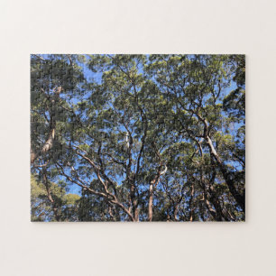 Puzzle arbres