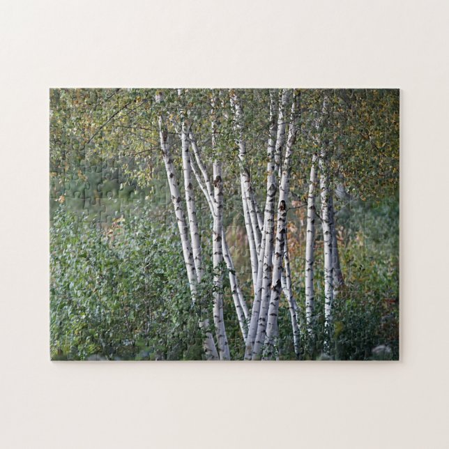 Puzzle Arbres de bouleau (Horizontal)