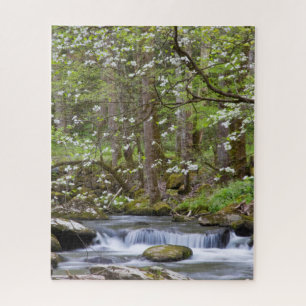 Puzzle Arbres de cornouiller   Great Smoky Mountain, Tenn