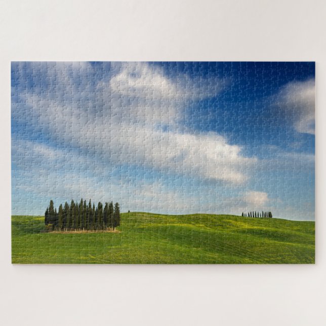 Puzzle Arbres de Cypress dans le paysage de la Toscane (Horizontal)