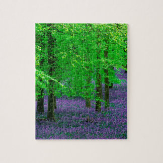 Puzzle Arbres de hêtre bleus de Bells de forêt Angleterre