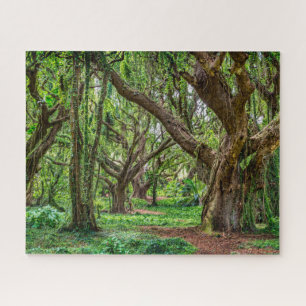 Puzzle Arbres de la forêt tropicale