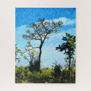 Puzzle Arbres De La Réserve De Julington-Durbin Floride