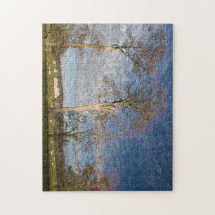 Puzzle Arbres de paysage irlandais et herbe verte