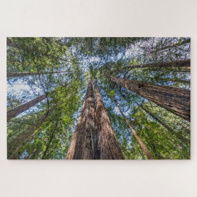 Puzzle Arbres de séquoia | Comté de Marin, Californie (Horizontal)