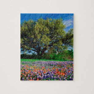 Puzzle Arbres Live Oak parmi des Bluebonnets de Texas