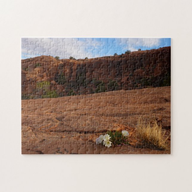 Puzzle Arches Slickrock et soir Primrose Paysage (Horizontal)