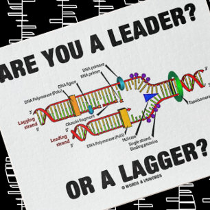 Puzzle Are You A Leader ? Or A Lagger ? Humour de Geek