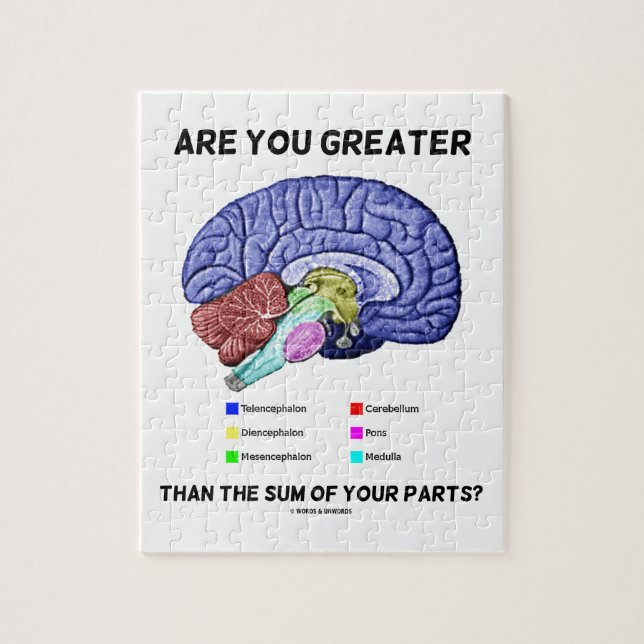 Puzzle Are You Greater Than The Sum Of Your Parts ? Brain (Vertical)