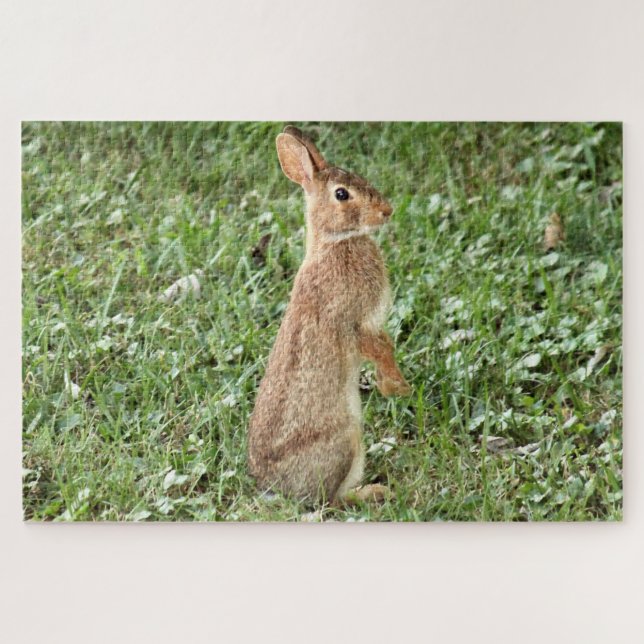 Puzzle Arisdale Arts : Lapin sauvage debout (Horizontal)