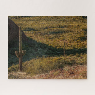 Puzzle Arizona Saguaro Cactus Sonoran Désert En Fleur