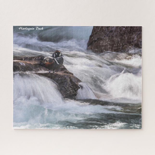 Puzzle Arlequin plongeur (Horizontal)