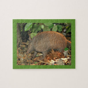 Puzzle Armadillo de Texas