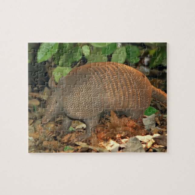 Puzzle Armadillo du Texas (Horizontal)