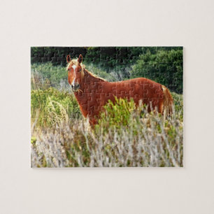 Puzzle Arrêt de Cheval Sauvage